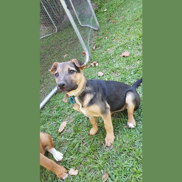 Photo of Vienna