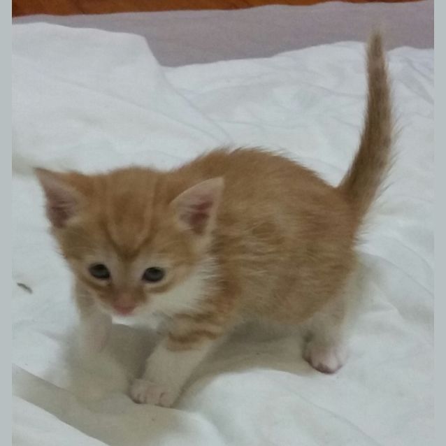 Photo of Bill Brother Ben Flowerpot Men.