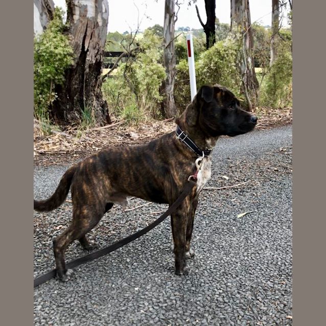 Photo of ❣️loki❣️