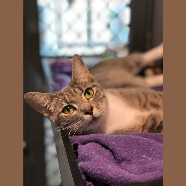 Photo of Piper