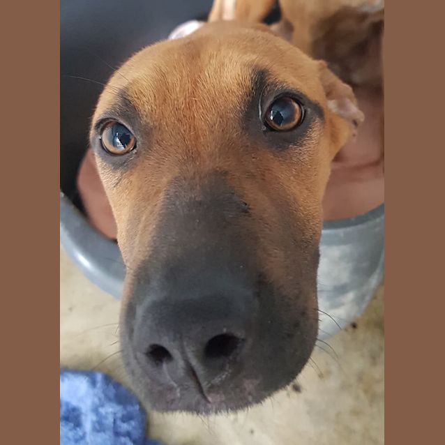 Photo of Storm
