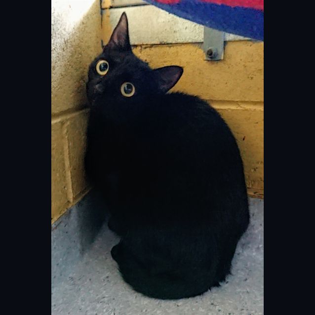 Photo of Rubie