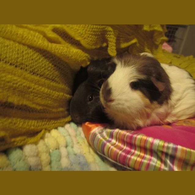 Photo of Abbee And Maggie