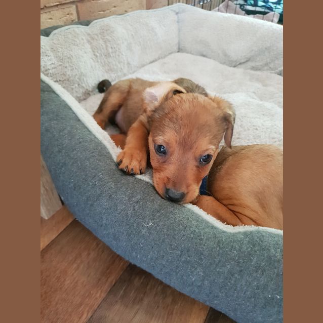 Photo of Candy