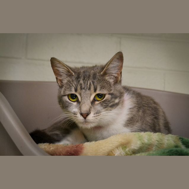 Photo of Lizzie (4128)