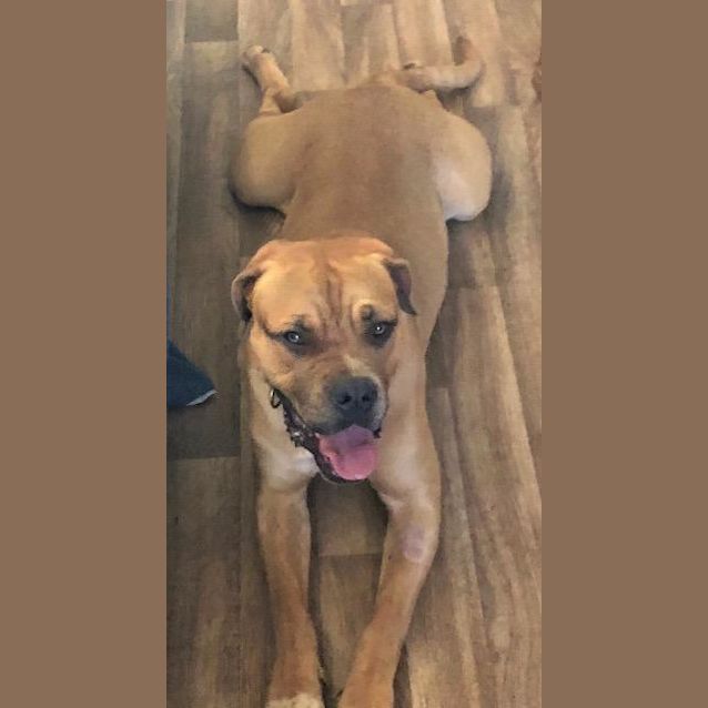 Photo of Odin