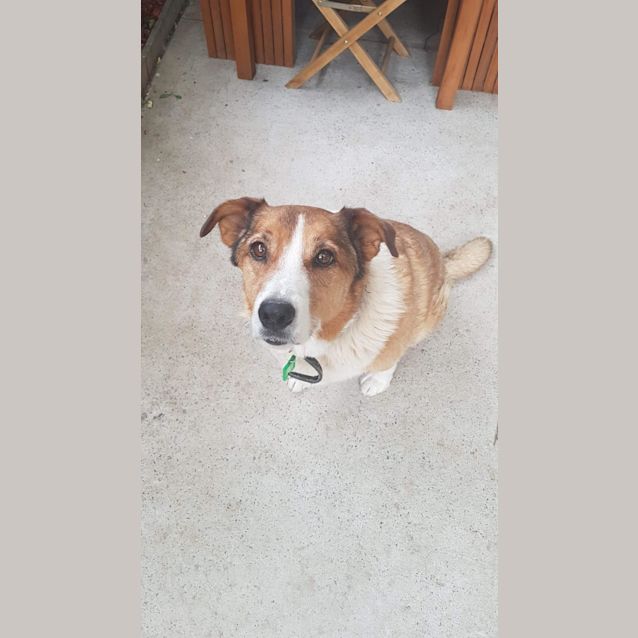 Photo of Jasper J