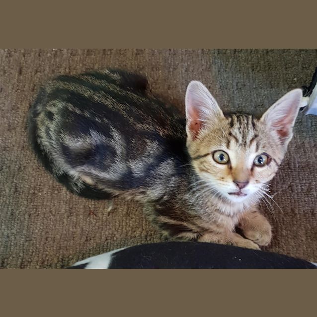 Photo of Gus