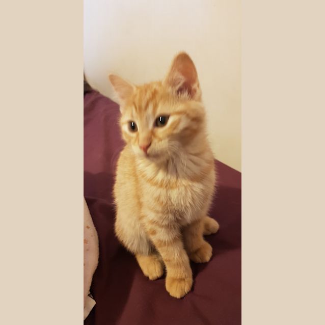 Photo of Feta