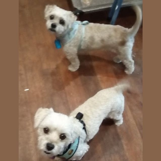 Photo of Abel And Archie