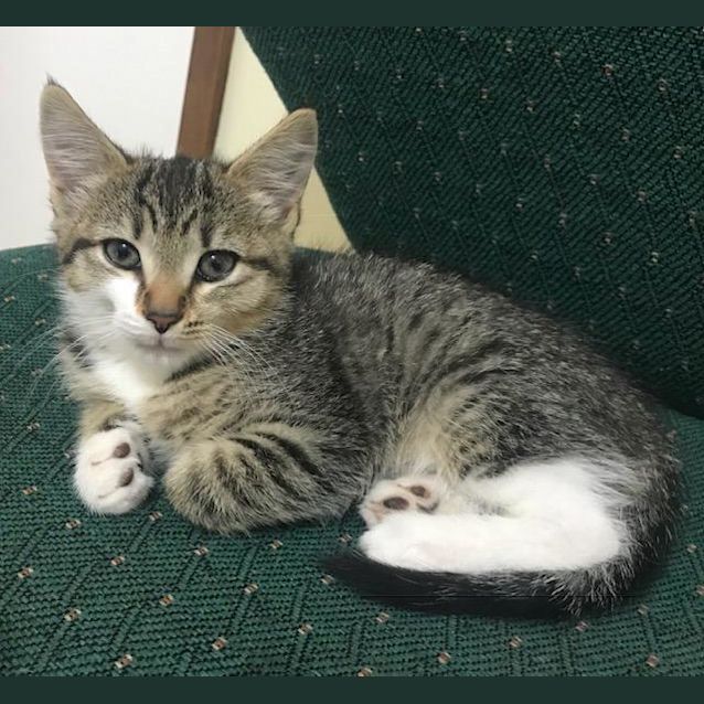 Photo of Luna