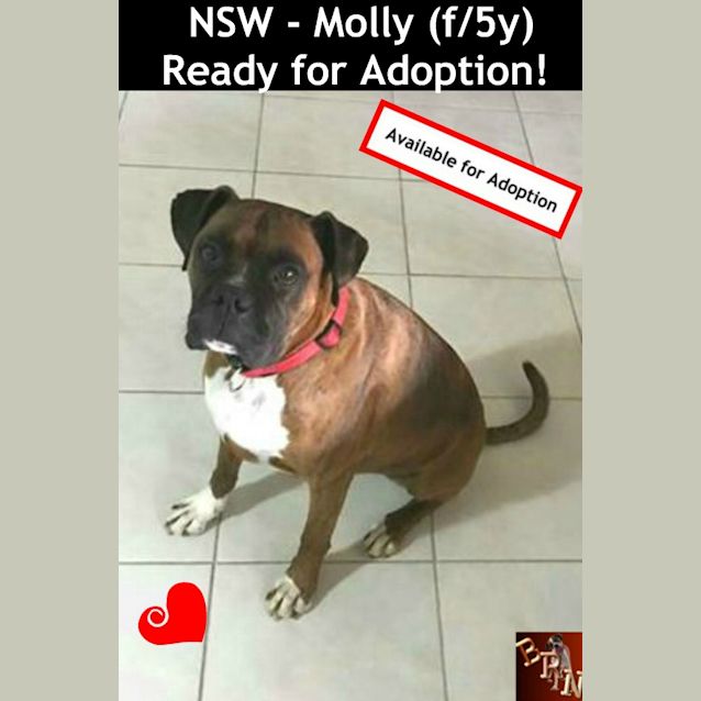 Photo of Molly