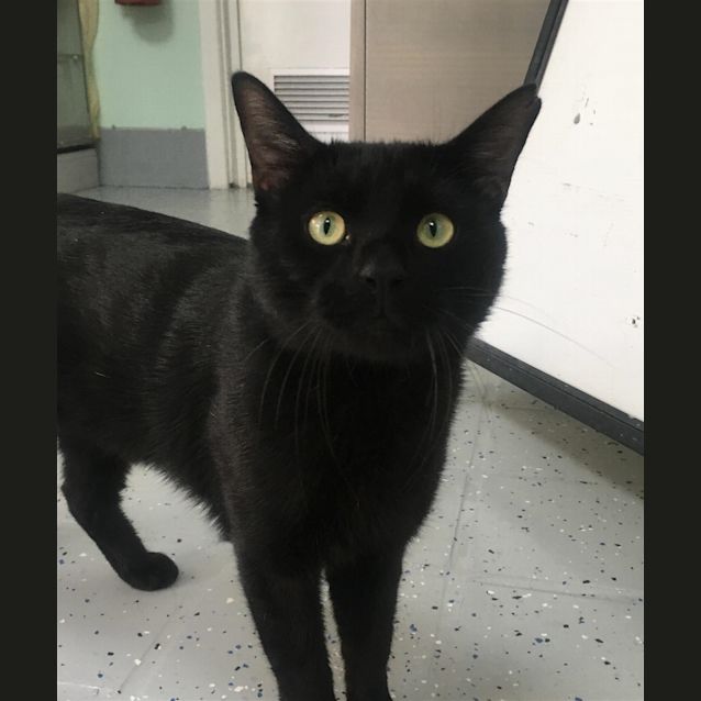 Photo of Salem