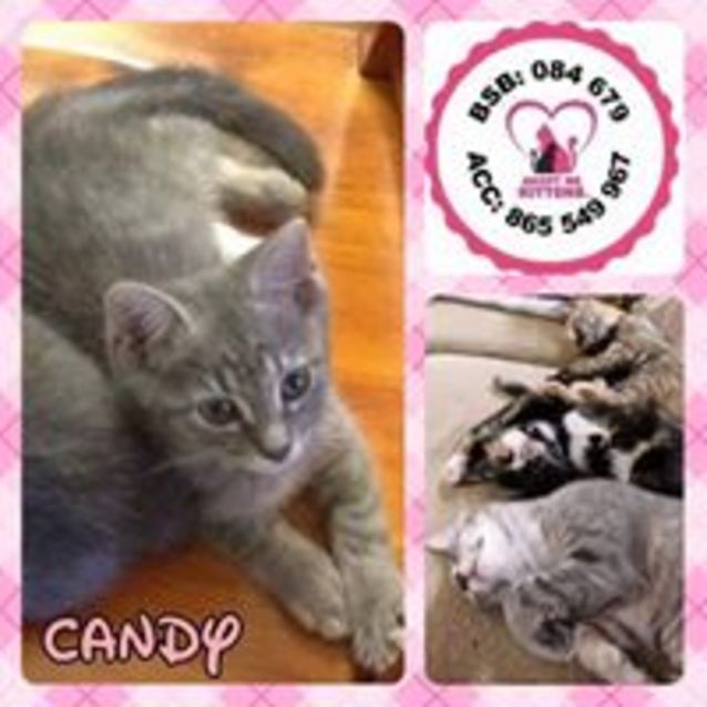 Photo of Candy