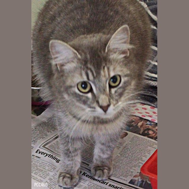 Photo of Roxy