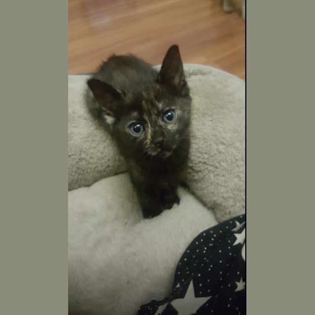 Photo of Spirit