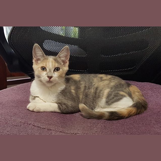 Photo of Lilah
