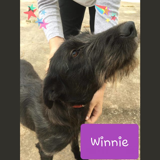 Photo of Winnie