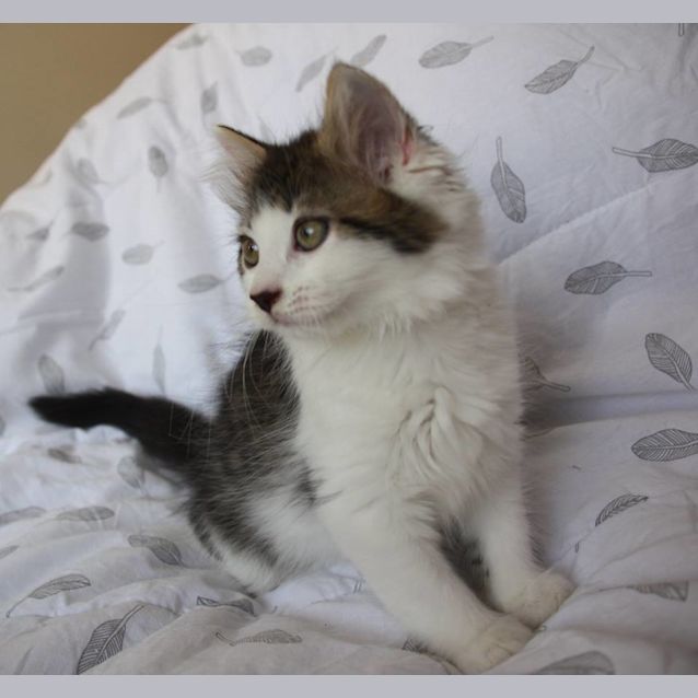 Photo of Ralph 