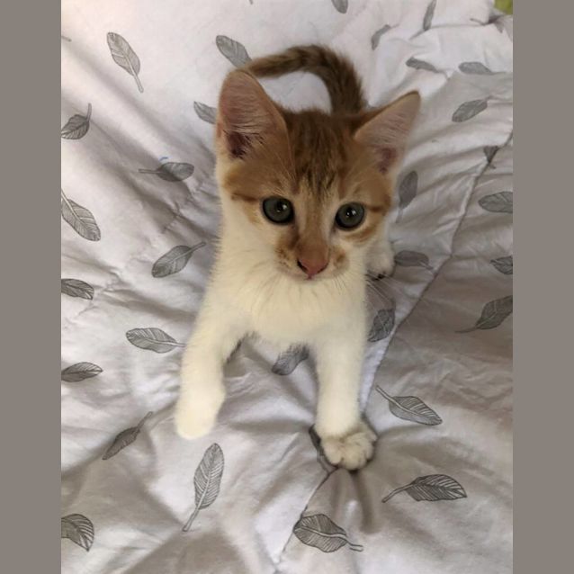 Photo of Timothy 