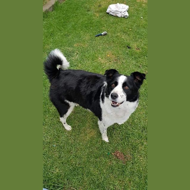 Photo of Minnie *On Trial*