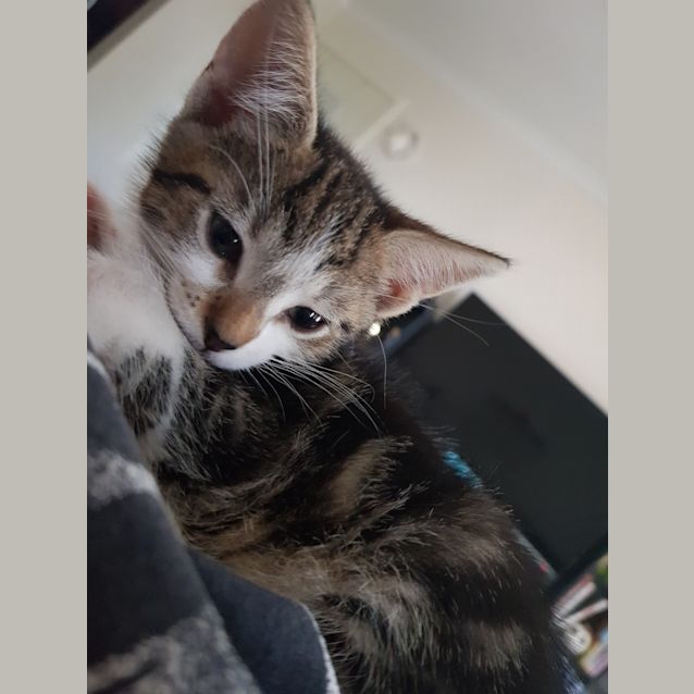 Photo of Miss Victoria