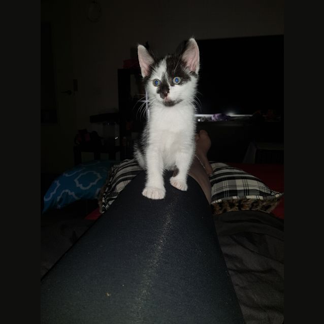 Photo of Squealy