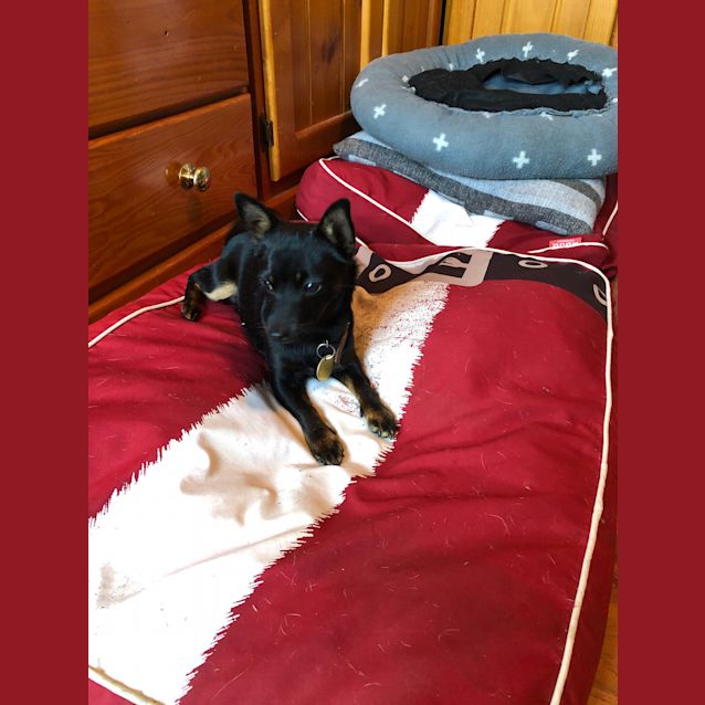 Photo of Tiny Tim