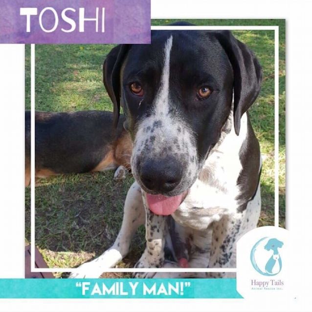 Photo of Toshi