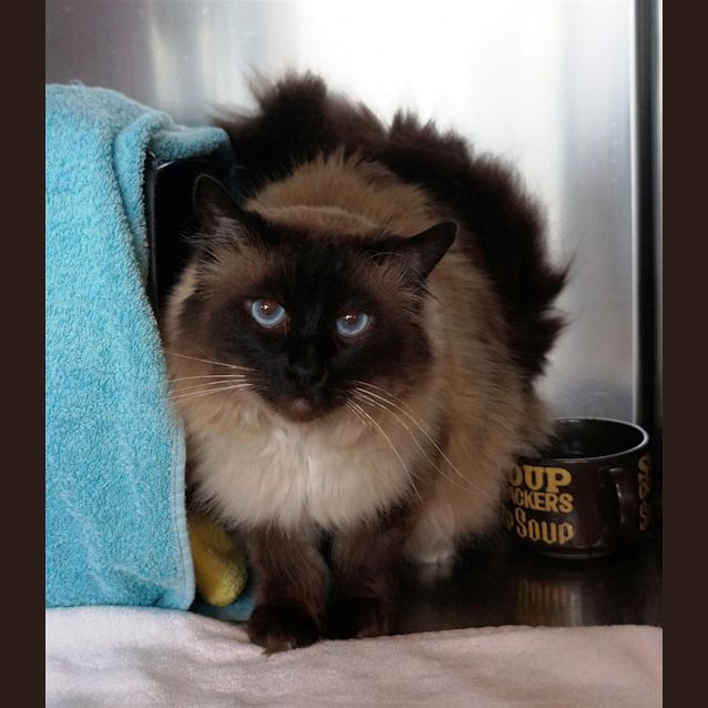 Photo of Jimmy