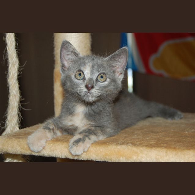 Photo of Elly May
