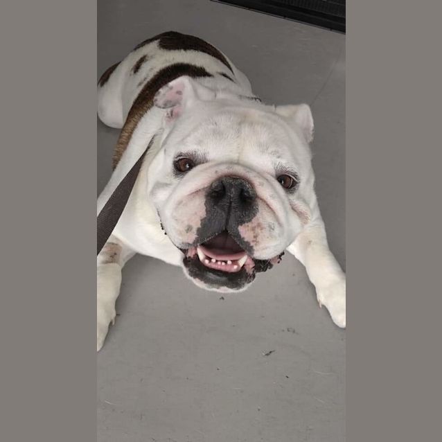 Photo of Dex