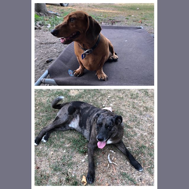 Photo of Felix & Jasper