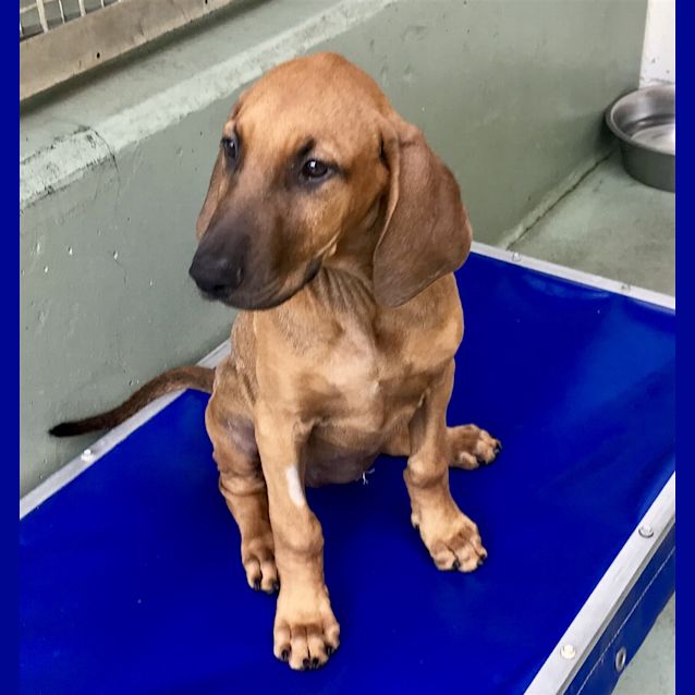 Photo of Holly