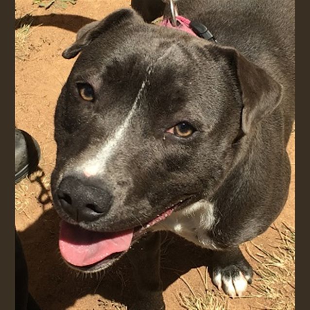Photo of Cleo