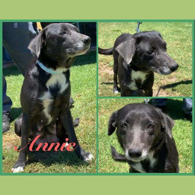 Photo of Annie