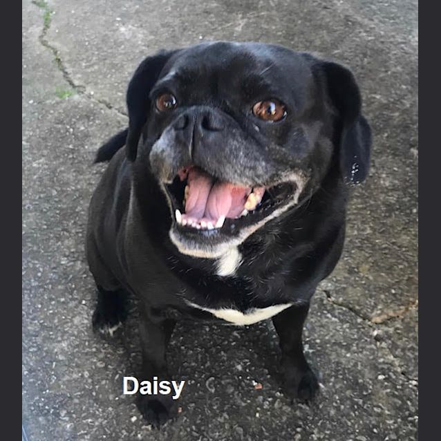 Photo of Miss Daisy