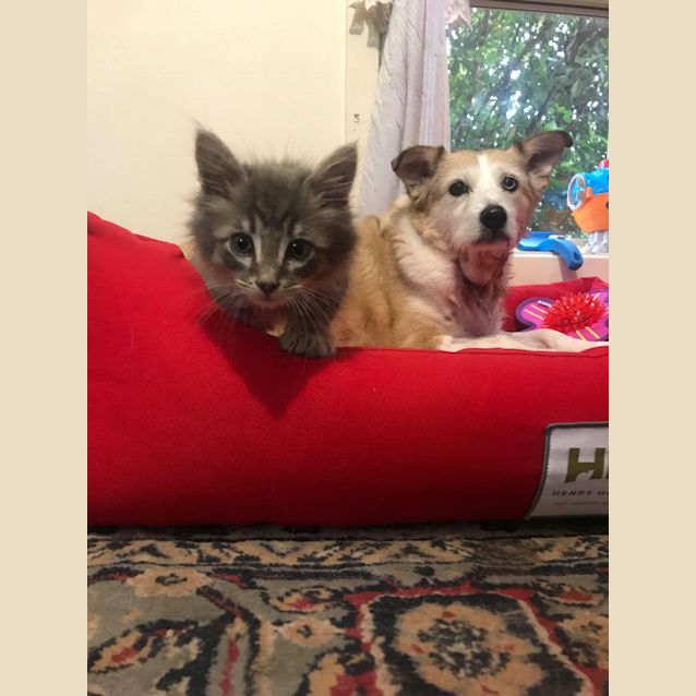 Photo of **On Trial** Rio