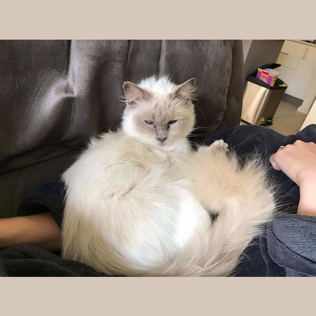 Photo of Lily