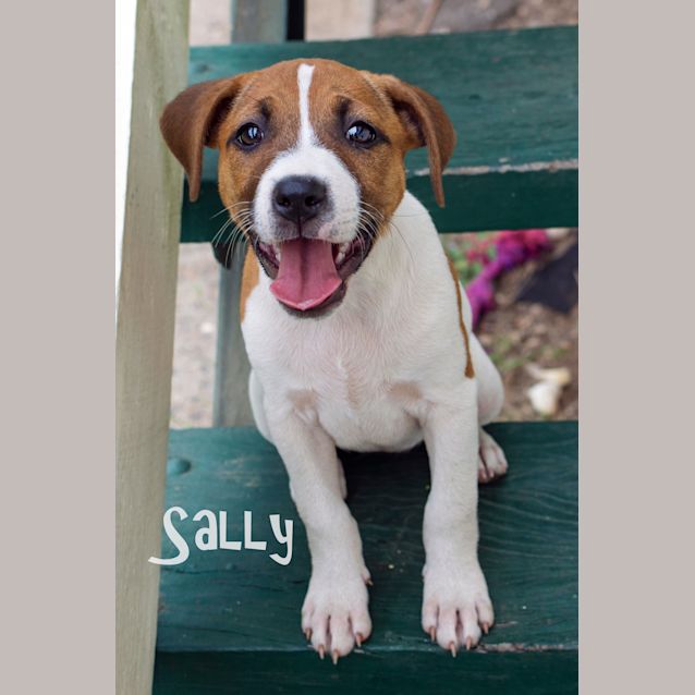 Photo of Sally