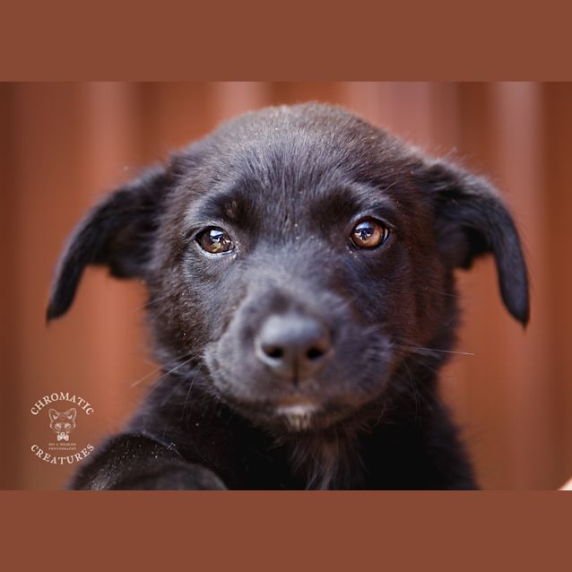 Photo of Ivy
