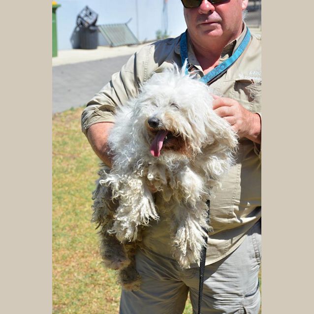 Photo of Marley Dl2038