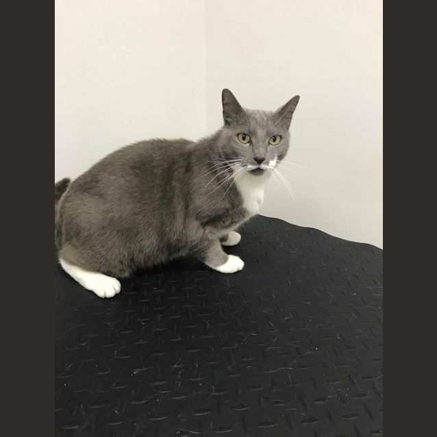 Photo of Charlee