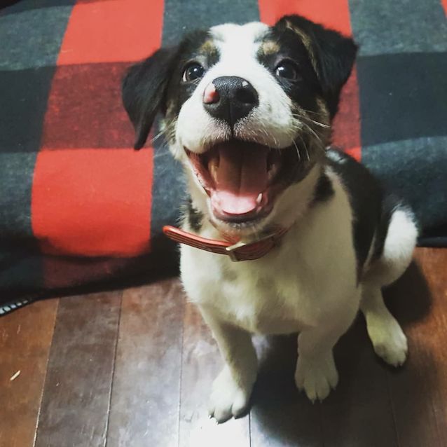 Photo of Astro 