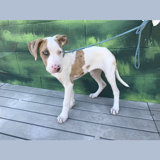 Photo of Heather   K120973