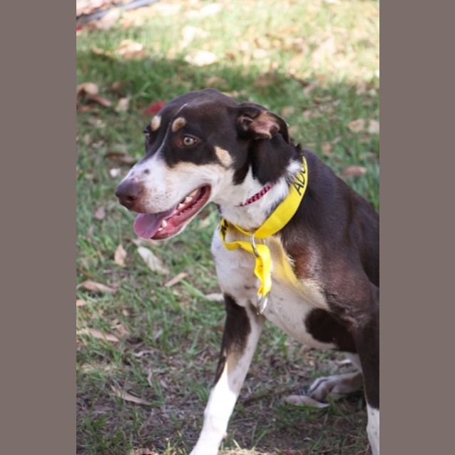 Photo of Ygritte   K119692