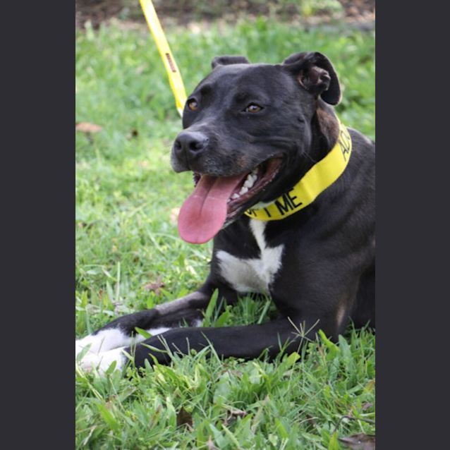 Photo of Candy   K119527