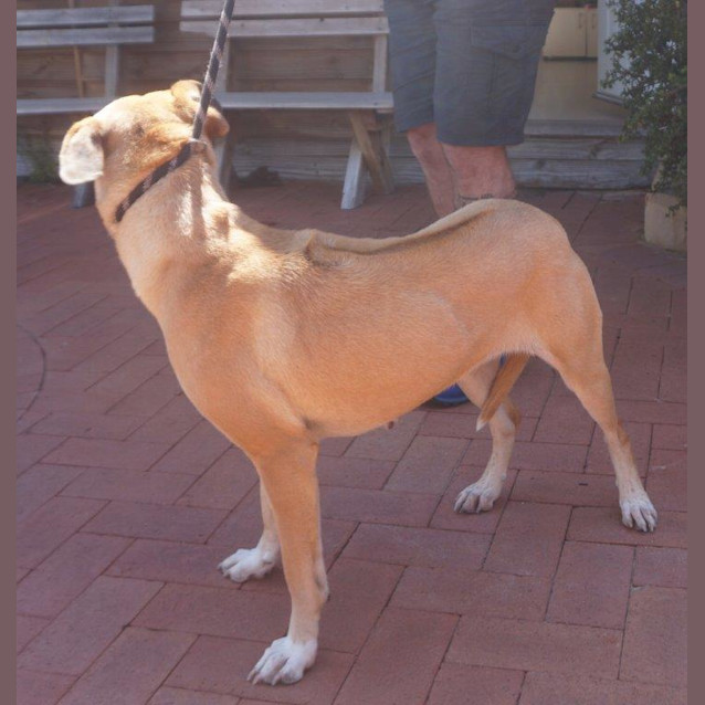Photo of Matilda