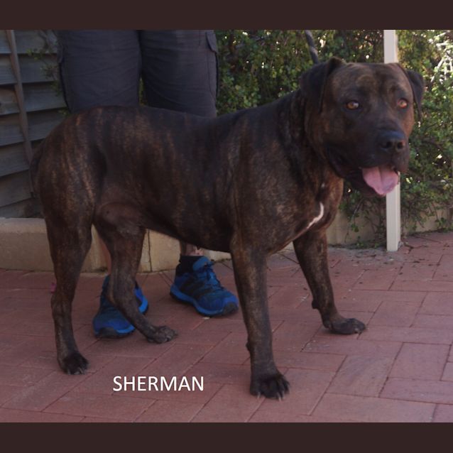 Photo of Sherman