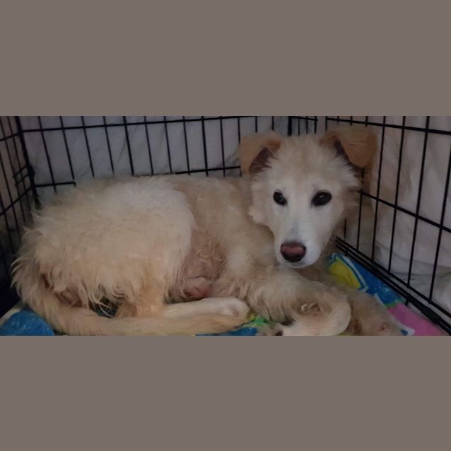 Photo of Wednesday Aka Daisy